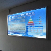 廈門喵君文化傳媒 引領(lǐng)新時(shí)代廣告?zhèn)髅降膭?chuàng)新力量